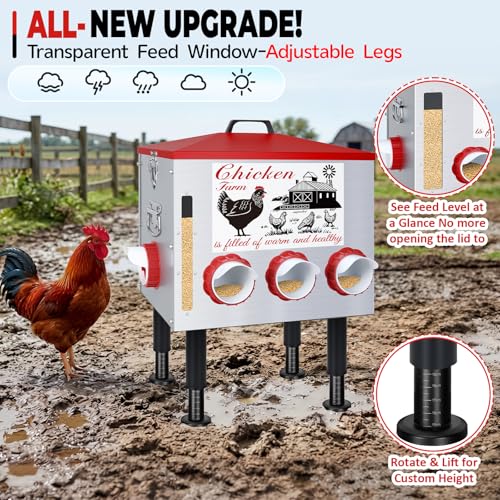 50Lb Automatic Chicken Feeder with Window 10 Port No Waste Rust-Proof Galvanized Steel with Locking Lid & Adjustable Height Legs Waterproof Portable Poultry Feeder for Chickens,Ducks,Geese