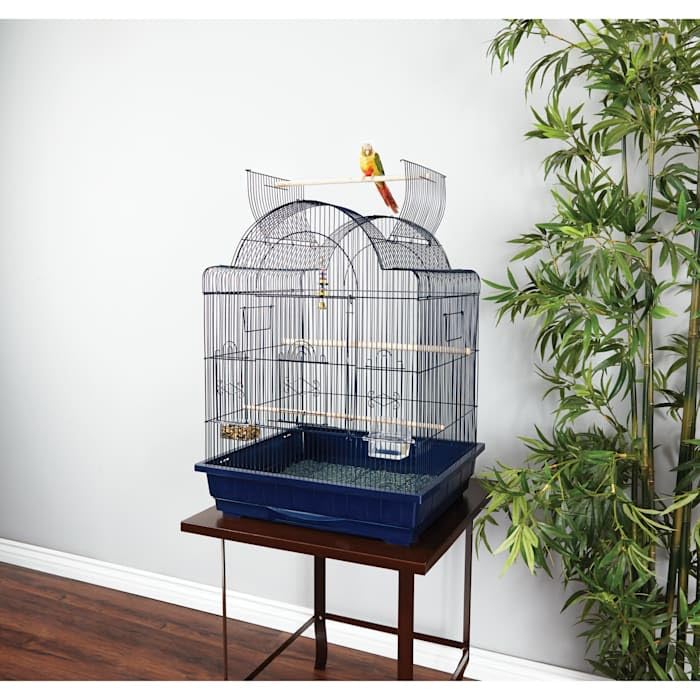 You & Me by Petco Parrot Open Top Cage