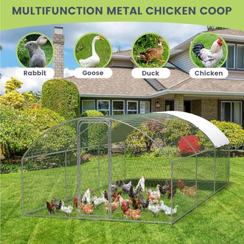 Large Chicken Coop for Yard, Large Metal Chicken Run, Walk-in Poultry Cage with Waterproof and Anti-Uv Cover for Outdoor Backyard Farm, Doom Roof, 9.8×19.7×6.6ft - size: 9.8×19.7×6.6FT