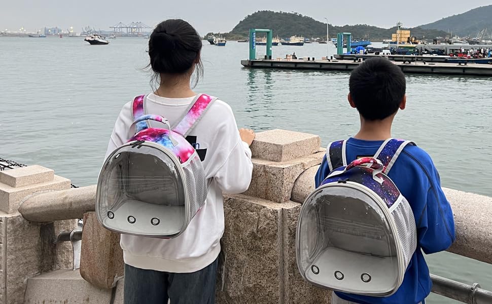 Bunny Carrier Backpack with Space Capsule Clear Bubble Window - Portable Small Animal Backpack Travel Pet Carrier Galaxy for Guinea Pig Rabbit Bearded Dragon Rat Lizard Hamster (Galaxy Pink) - color: Galaxy Pink