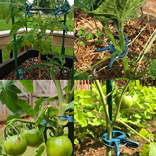 Yinghezu 40 Pcs Plant Support Clips,Tomato Plant Clips 2 Sizes in one Pack | Flower and Vine,Garden clips for Supporting Stems,Vines Grow Upright Climbing,Tool for Straightening,Tomato Cage,Trellis. - size: 40 PCS (20 small + 20 large)
