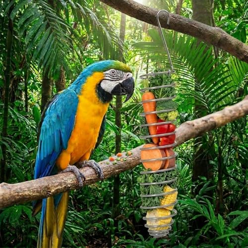 3Pcs Stainless Steel Bird Food Holder Set - Hanging Foraging Basket Cage Accessories, Metal Fruit & Vegetable Feeder for Parrot, Macaw, Cockatoo, Parakeet & Large Birds Cage Toys Gifts