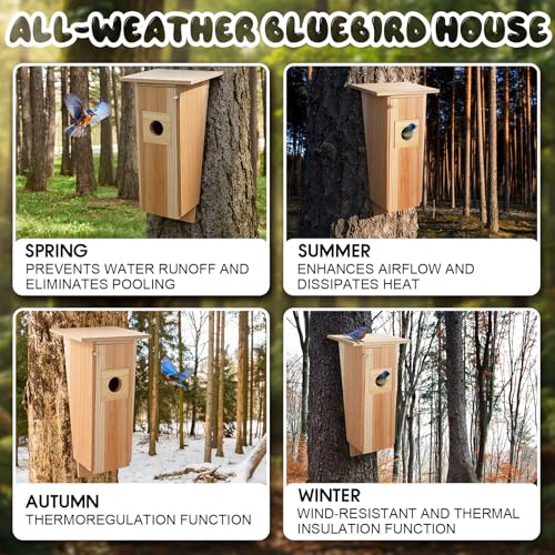 Kathfly 16 Inch Cedar Bluebird Box Houses for Outside Entrance Hole Big Wood Bird Houses Wall Mounted with Metal Secure Latch Air Vents for Bluebirds Titmice Chickadees Wren Swallow Nesting