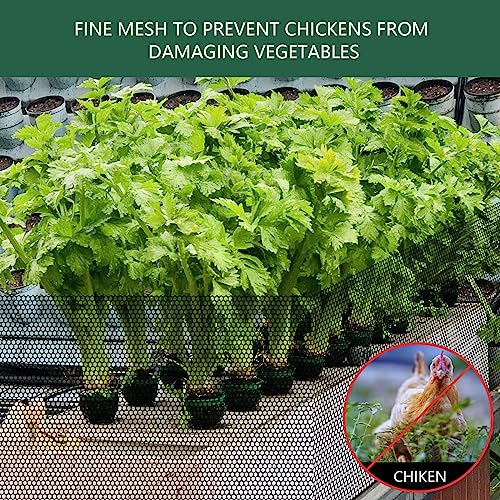 15.7 in x 19.7 FT Plastic Chicken Wire Fencing,Comes with 30 Twist Ties, Black Chicken Wire mesh,Poultry Netting,Poultry Fence,Chicken Wire for Crafts,Plastic Garden Fencing,Floral Chicken Wire - size: 15.7IN*19.7FT
