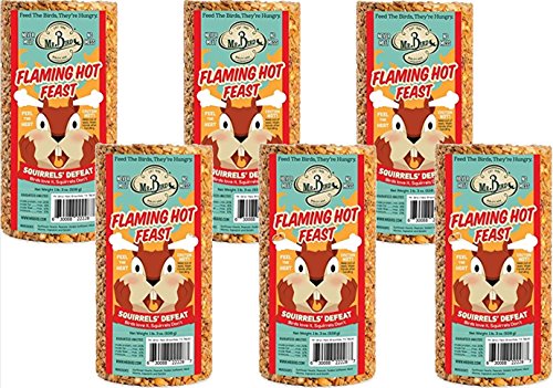 Mr. Bird Flaming Hot Feast Spicy Bird Seed Cylinder, 6-Pack, 1 lb 3 oz | Premium Blend of Mealworms, Peanuts & Hot Pepper | Squirrel Repellent | Handcrafted in Texas - size: 1.19 Pound (Pack of 6)
