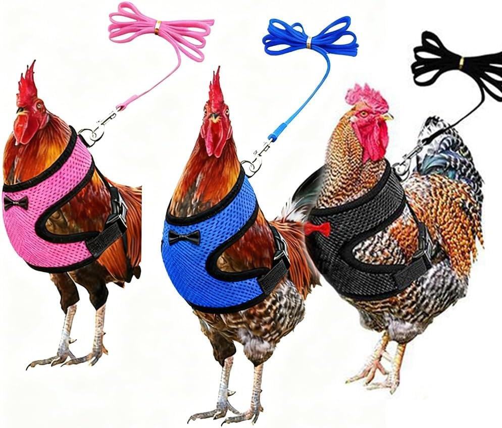 Blue Harness Vest for Chicken Harness with Leash Set, Hen Duck Small Animal | Breathable Comfortable Soft Mesh Harness, Adjustable, Outdoor Walking Training ,Small Animal ,Rooster Dog Kitten - color: Blue, size: M(Chest18.1-20.5'')