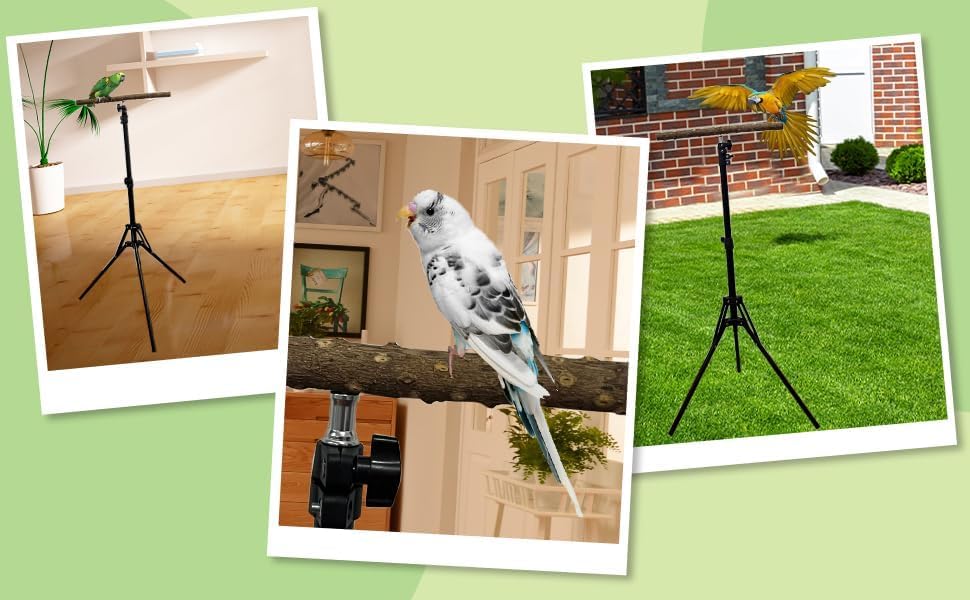 kathson 28-60inches Height Adjustable Bird Perch, Pepperwood Parrot Perch Stand, Multi-Purpose Bird Perches for Indoor and Outdoor Use, Designed for Small Medium Birds - size: Bird Perch Only (1 Piece)
