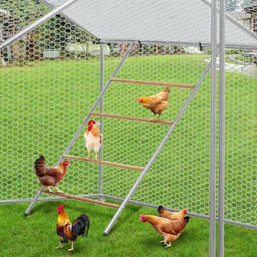 Chicken Perch for Coop, Chicken Roosting Bars, Easy to Assemble, for Backyard Chickens Coop and Farms, 55'' L x 39'' W