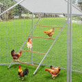 Chicken Perch for Coop, Chicken Roosting Bars, Easy to Assemble, for Backyard Chickens Coop and Farms, 55'' L x 39'' W