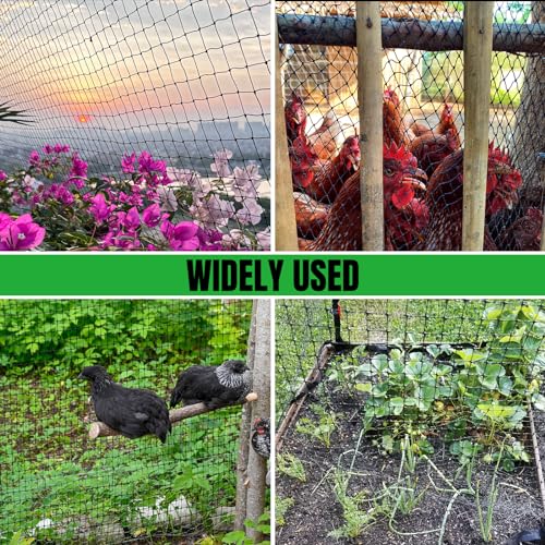 NONMON Bird Netting Deer Fence Netting 5 x 100FT Heavy Duty Garden Netting | Protection Net for Chicken Coop, Protect Fruit Trees, Plants and Vegetables Against Birds, Deer, Squirrels and Other Animals - size: 5 x 100ft - 1 Pack