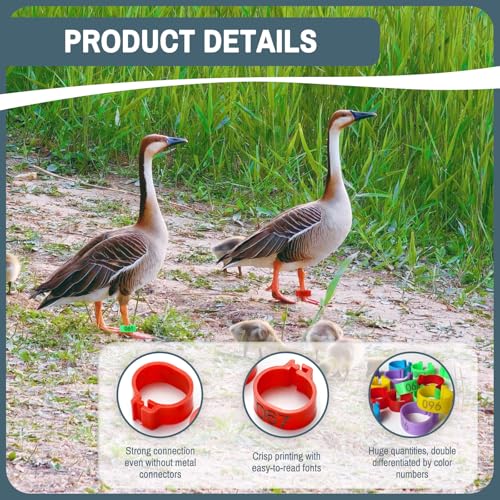 200 Pieces 20 MM Plastic Chicken Leg Bands with 5 Colors, Reusable Colorful 01-100 Numbered Chicken Foot Tags, Clip-On Round Poultry Leg Bands for Ducks Chicks Goose Turkey Pigeons