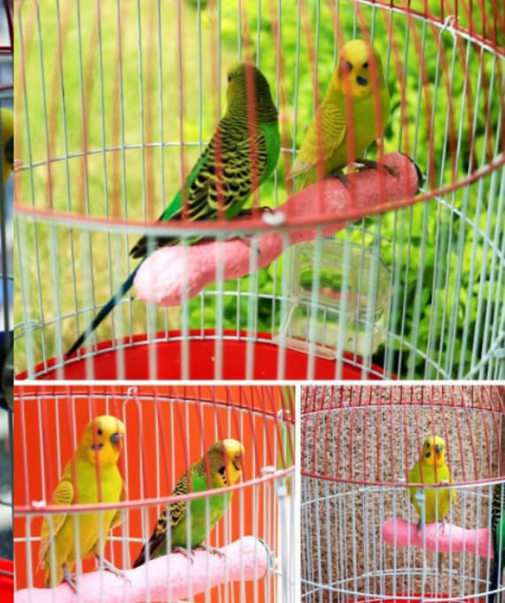 Natural Wood Bird Perch with Beak Grinding Bar, Climbing Standing Stick Cage Toy for Parakeets, Cockatiels, African Grey, Budgies & Small Parrots