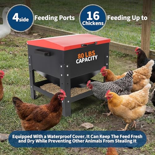 Metal Chicken Feeding Box, 80 lbs Large Capacity, Portable Feeder, Red | Galvanized Steel, Waterproof Lid, No Waste Automatic Poultry Feeder for Ducks, Hens and Roosters, Standing for Chicken Coop