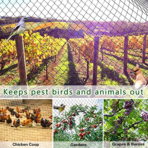 OGORI 25' x 25' Bird Netting Heavy Duty Nylon 3/4" Mesh Garden Netting Protect Fruit Trees, Plants and Vegetables - size: 25'×25'-3/4''