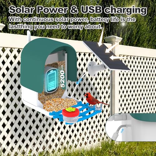 4K Solar Smart Bird Feeder with Camera for Outdoor Bird Watching | 160° Wide Angle, 5200mAh Battery, 32GB SD Card, AI ID 10000+ Birds, Color Night Vision, Waterproof WiFi, Gift for Bird Lovers