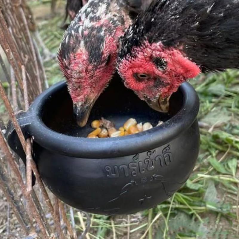 HANABASS 2 Pack Chicken Water Cup with Hooks Poultry Feed Cups for Chicken Pigeons Quail and Chick 5.11 X 4.52 X 2.75 in Hanging Feed and Water Set