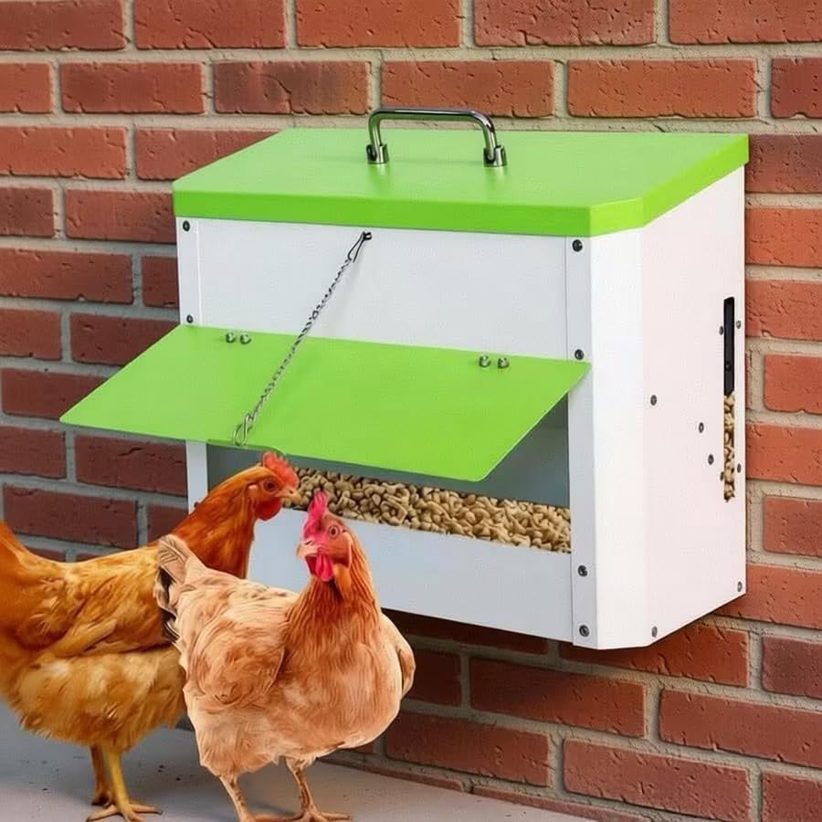 Automatic Chicken Feeder 22lb Wall Mounted Hanging Poultry Feeding Trough | stainless steel metal Hen Rooster Duck Lid Gravity Goose Coop heavy duty feed bucket chick food fence station outdoor