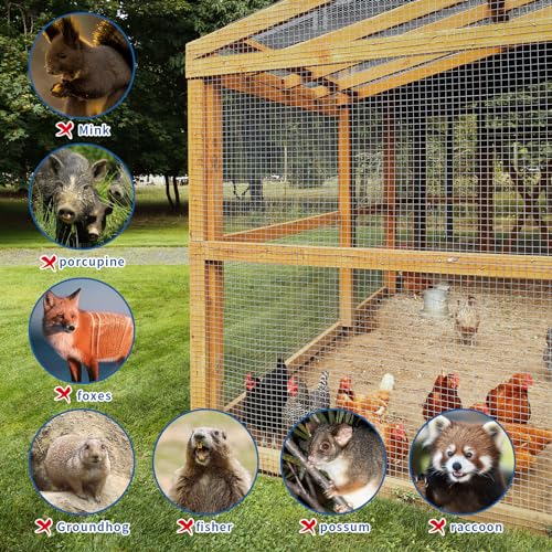 304 Stainless Steel Hardware Cloth 1/2 Inch Chicken Wire Fence | Welded Wire Mesh Roll for Garden Protection, Rabbit Cage, Squirrel Barrier, Plant Support and DIY Projects (12in×24ft) - size: 1/2inch 12in x 24ft