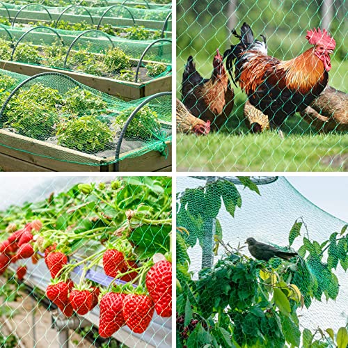 Kikhope Bird Netting, 13x20 ft Garden Mesh Net for Plants and Vegetables | Anti Bird Netting, Bird Barrier, Garden Plant Netting for Protecting Vegetables Plants and Fruit Trees from Birds and Animals - size: 13x20 ft