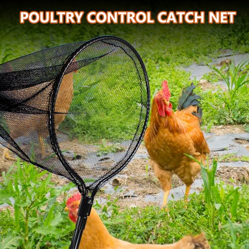 Catcher Net Small Animal Control Net Poultry Catching Trap Tool, Large | 43"-78" Handle, 24" Net Opening, For Chicken, Duck, Goose, Fish, Cat, Dog, Poultry Catching Trap Tool - color: Advanced Grey - 24inch Net Opening(Large)