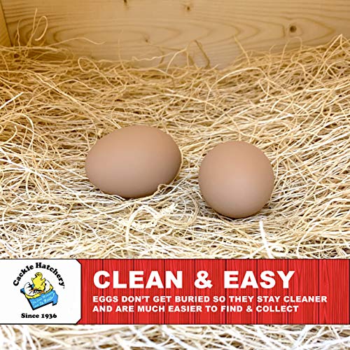 Laying Hen Nest Box Pads and Chicken Coop Floor Pads Made in USA from Sustainable Aspen Exceslior - 13 x 13 Thick Pads (40 Pack) - size: 40 Pack