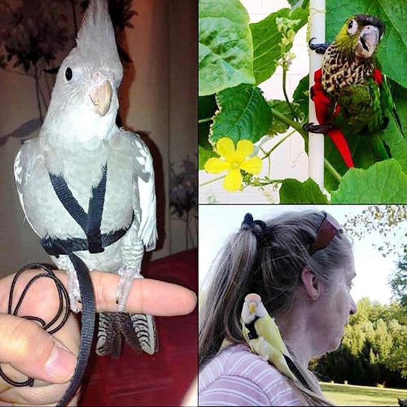 Adjustable Bird Leash and Harness,Anti-Escape Nylon Parrot Harness Red M | Flying Training Rope Parrot Leash For Small Medium Large Breed Parrots Fits Chest Under 20'' - color: Purple, size: M