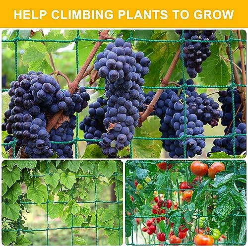 Garden Trellis Netting for Climbing Plants Outdoor, 6.6x16.4 FT Plant Netting for Cucumber, Tomato, 27 Strands Trellis Net with 4x4 Inch Mesh as Vegetable Netting for Grape, Bean, Pond - size: 6.6x16.4 FT