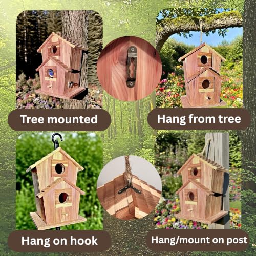 Cedar Bird House for Outside, Wooden Birdhouse for Outdoors, Bluebird House, Hanging Birdhouse with Predator Guard, Large Clean Out Door, All Natural Linseed Oil Finish