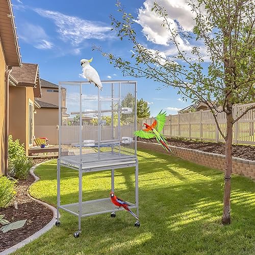 ZENY 53-Inch Bird Cage, Wrought Iron Flight Birdcage, White | with Rolling Stand, Bird Flight Cage for Cockatiels Pet Parrot Parakeet Lovebird Canary Finch - color: White