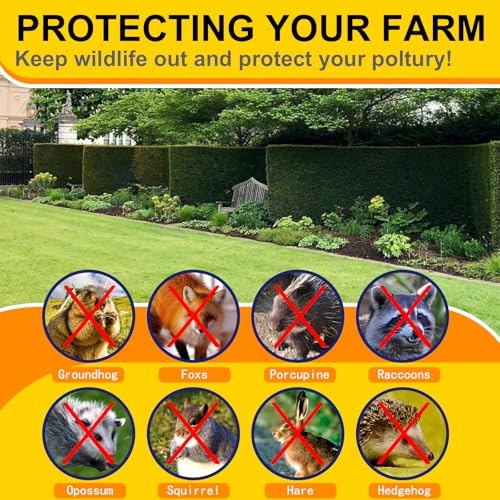 Black Hardware Cloth 1/2inx24inx100ft, Chicken Wire Fencing, 19Gauge, Vinyl PVC Coated Mesh, Welded Wire mesh, Perfect for Gopher Wire, Rodent Mesh, Tree Guard, Chicken Coop. - size: 1/2inx24inx100ft