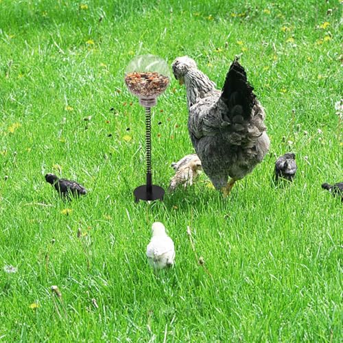 Chicken Enrichment Toys with Spring and Ground Stake, 2 Peck Treat Dispenser, Chicken Feeder for Coop, Coop Accessories for Hens, Geese, Ducks, Turkeys, Other Poultry - size: 2 Pack