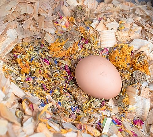 Pampered Chicken Mama Premium Nesting Herbs for Chickens (20 oz) Made with Flowers & Botanicals | Chicken Nesting Herbs | Nesting Herbs for Chicken Coop Herbs - size: 1.25 Pound (Pack of 1)