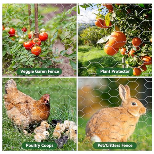 ROADPLUM 13.8 in x 49 ft Chicken Wire Fencing, Rustproof Galvanized Iron Chicken Wire Mesh for Pet Rabbit, Floral Chicken Wire Roll Netting to Protect Poultry Plant Fruit - size: 13.8 x 590 in