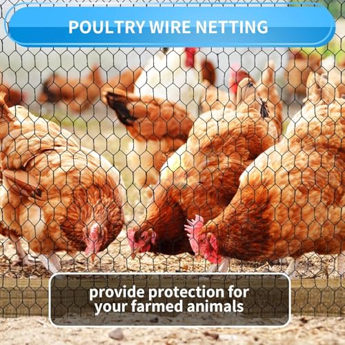 1/2 Inch Black Wire Mesh Roll - 24'' x 50' Chicken Wire Fence, 20 Gauge Hardware Cloth Poultry Netting for Garden/Animal Barrier/Rabbit/Floral/Chicken Coop/DIY Projects - size: 1/2inch-24inch×50ft