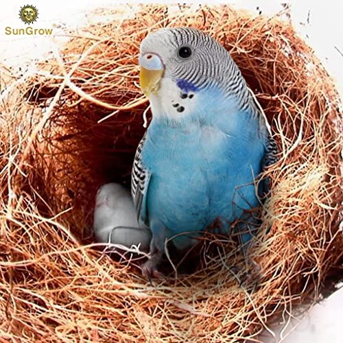SunGrow Finch Coconut Fiber, Loose Bedding Substrate for Birds Nest Cages, Nesting Material for Budgie Hummingbird Canary Parakeet, 1.5 oz - color: Natural coconut fiber, size: 1.5 Ounce