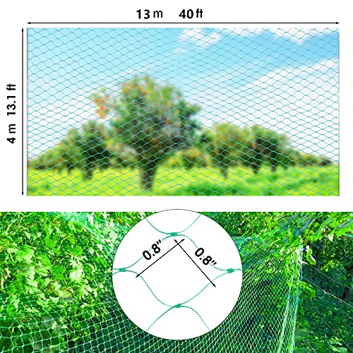 13X40Ft Bird Netting for Garden Protect Vegetable Plants and Fruit Trees,Plastic Trellis Netting for Birds, Deer,Squirrels and Other Animals - size: 13X40
