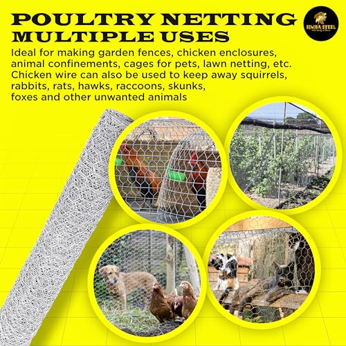 Chicken Wire 36 in x 200 FT x 2” Mesh x 20GA | Poultry Wire Netting | Hot Dipped Galvanized | Chicken Coop, Rabbit Cage, Fence Barrier (36 x 200 x 2) - style: 36 in x 200 FT x 2 in