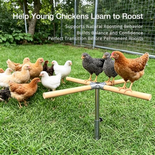 Chicken Perch Toys for Coop, Perches Adjust Height 6-17" for Young Chickens | Portable Wooden Roosting Bar for Bantams, Silkies &Small Backyard Flock, Height Adjustable Outdoor Chicken Playground Stand - size: H=23.6inch