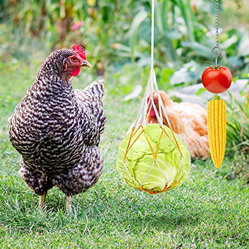 Gejoy 6 Pieces Chicken Toys for Coop Accessries Wooden Stand Mirror with Bells Coop Swing Veggies Fruit Skewer Vegetable Hanging Feeder Chewing Foraging Toys for Chicken