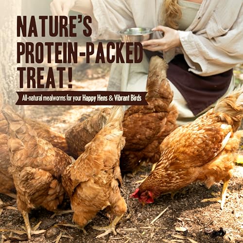 Pet Faves Dried Mealworms for Chickens, Birds, Hamster, Reptile and Turtle - Premium Non-GMO Treats with 55% Protein for Laying Hens - Organic Food for Wild Bird, Bluebirds, Robins, Cardinals. 5 Lb - size: 5 Pound (Pack of 1)