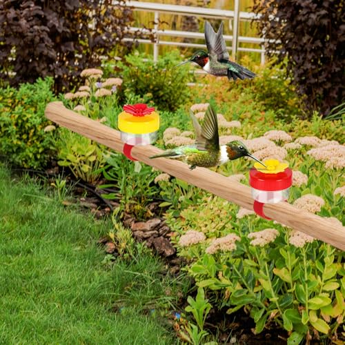 Handheld Hummingbird Feeders with Cleaning Brush, 2-Pack, Mini Hand Feeder | Mini Flower Hand Held Hummingbird Feeder Ring for Window Outdoor Wild Perch Feeding, Plastic Hummingbird Feeders
