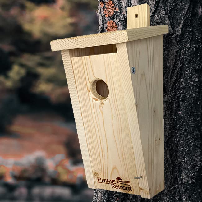 Slant-Front Bluebird House by Prime Retreat