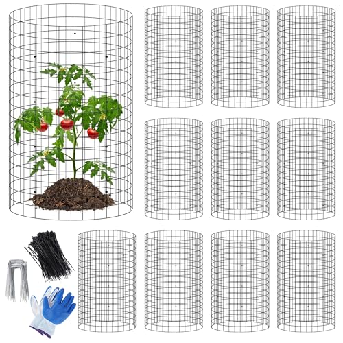 winemana 12 Set Garden Plant Protector Cage,36 Pcs 16x12 in Metal Wire Protectors for Plants Protection Cages with Stakes Ties Animals Barrier to Keep Rabbit Chicken Away from Flower Vegetables(Black) - color: Black, size: 16 IN x12 IN