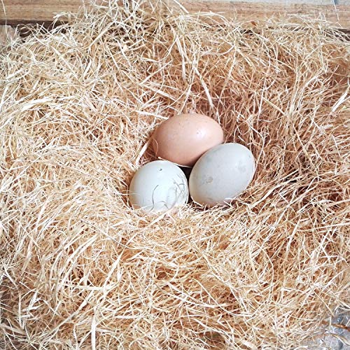 BWOGUE 100g/3.5oz Natural Chicken Hay, Grass Nest Bedding for Hens & Birds | Chicken Laying Pads, Hay for Chicken Coop Nests, Nesting Pad, Soft Laying Surface, Easy Nest Box Placement, Helps Reduce Mess