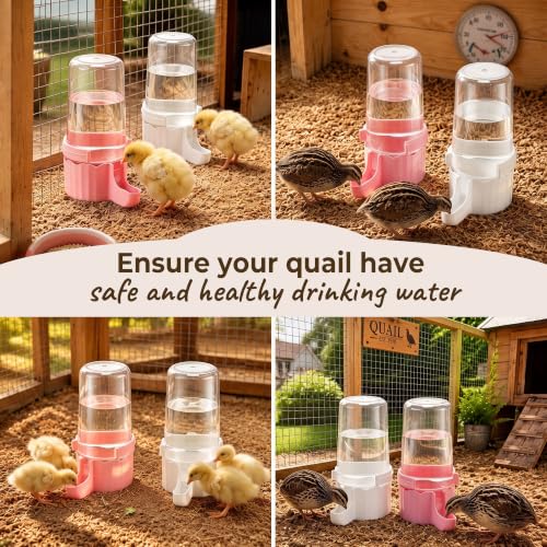 2 Pack Quail Waterer, Leak-Proof & Anti-Drowning Design, 16.7 oz Automatic Gravity Chicks Water Feeder with Hanging Hooks, Easy Clean Transparent Water Dispenser for Quail & Small Birds
