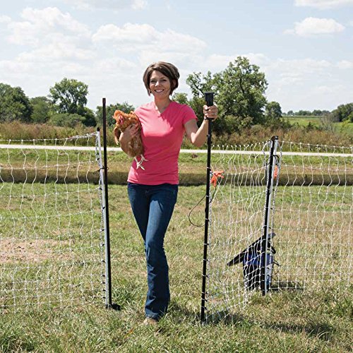 Premier 1 PoultryNet® Electric Net Gate for Chickens – 48" H x 4'L | Black/white net, drivable posts. Open without turning off the energizer. For chickens, ducks & geese. Fits PoultryNet fences.