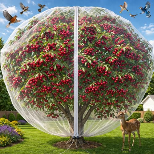 1Pack 13x13ft Large Fruit Tree Netting with Zipper and Drawstring – Anti-Insect, Anti-Bird Protection for Apple, Peach, Cherry Trees and Vegetables – Ideal for Home Gardens,Small Organic Farms - size: 13.1 X13.1ft
