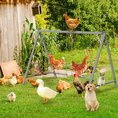Chicken Perches with Swing, Chicken Roosting Bars for Coop Accessories | Activity Play Toys for Pet's Health & Happy, Sturdy Metal.