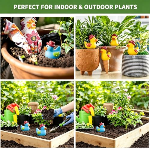 4PCS Terracotta Self Watering Spikes, Cute Duck Shaped Self Watering Globes | Automatic Plant Waterer Outdoor&Indoor Use, Vacation Clay Watering Devices System, Slow Release Self Watering Planter Insert - color: Blue and Yellow Ducks Set (Pack of 4)