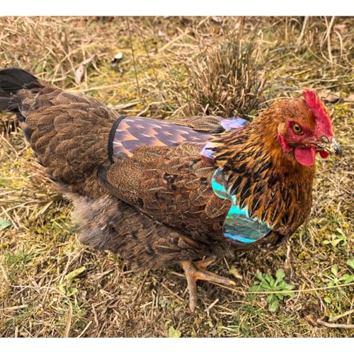 Chicken Saddles for Hens with Detachable Wings, Adjustable Hen Apron Back Protector for Feather Recovery, Double-Layer Breathable Poultry Saver for Standard Breeds (Black,White,Yellow) | Double-Layered Breathable Poultry Back Protector For Hens During Mat